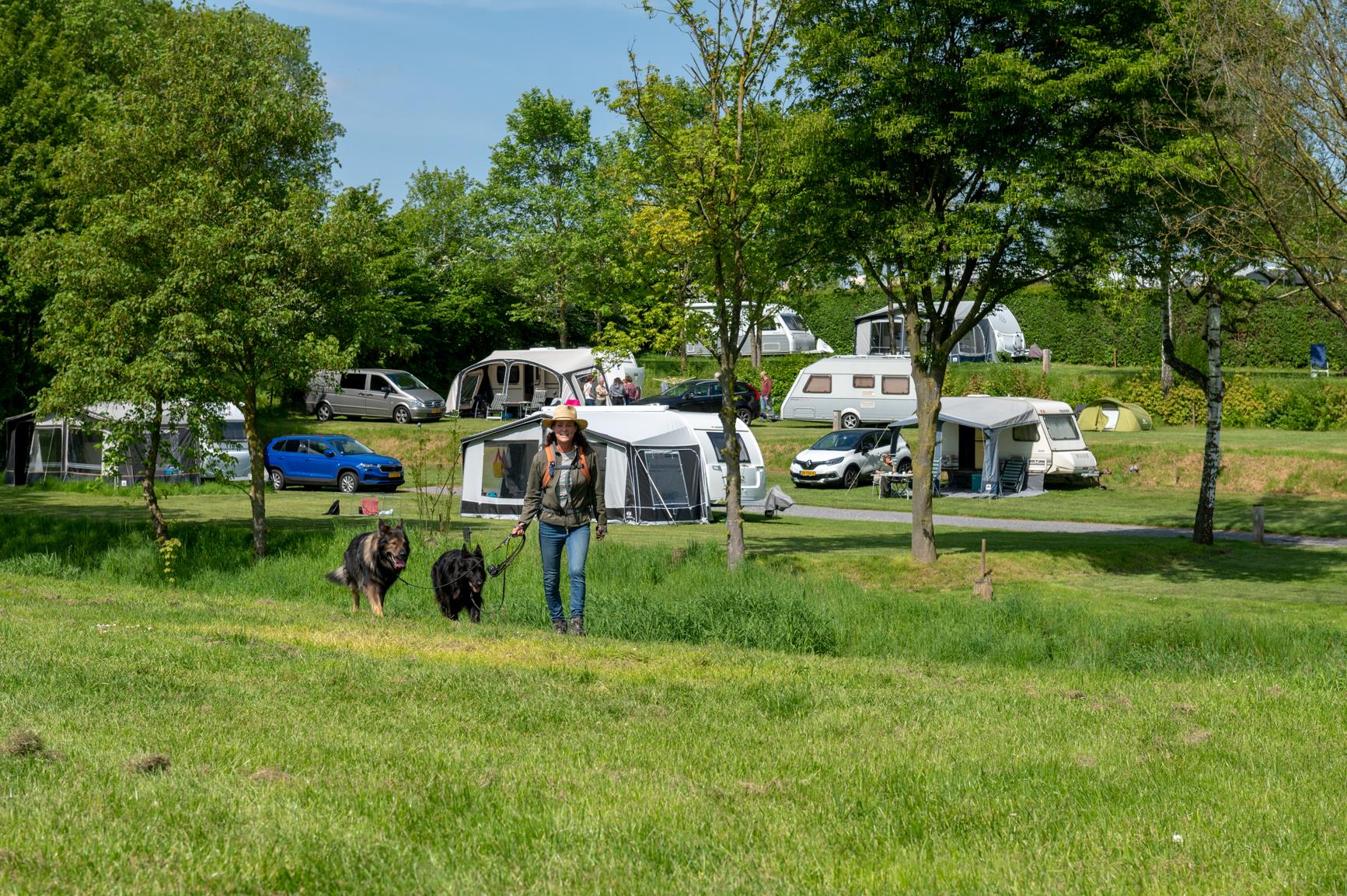 Camping 't Zinkviooltje — photo 2